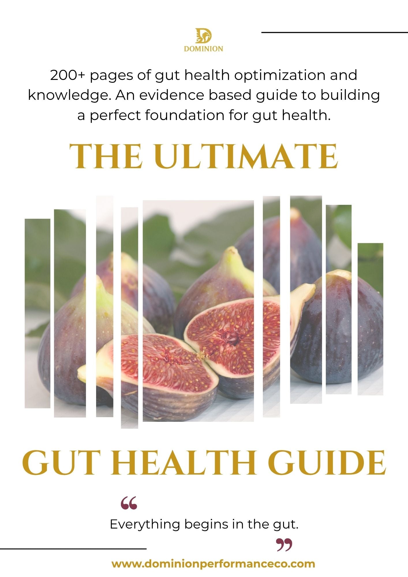 The Ultimate Gut Health Guide